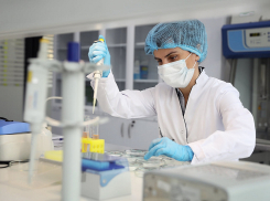 Сколько новороссийцев подхватили «корону» за последние сутки