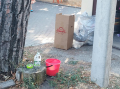 Отпуск на славу: набережная Геленджика превращается в помойку 