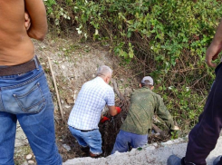 Жители и администрация Приморского района подают пример всему городу