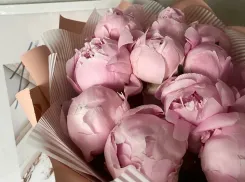 Погода в Новороссийске: прощай, тёплая одежда 