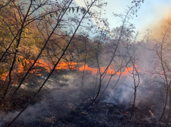 Низовой лесной пожар в Геленджике тушили 22 часа