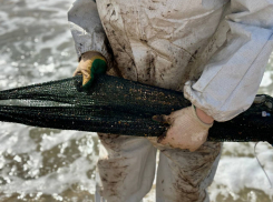 «Халатность и разгильдяйство»: Генпрокуратура РФ проверит МЧС из-за промахов после ЧП с танкерами в Черном море