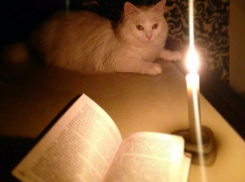 С 8 утра в Новороссийске не будет света