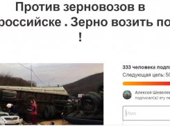 Новороссийцы создали петицию против зерновозов