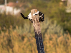 Погода в Новороссийске: солнышко светит, теплеет