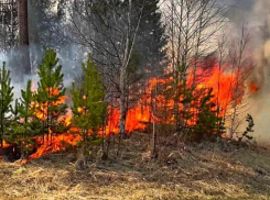 В Новороссийске объявлен высший класс пожароопасности