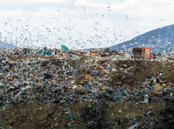 Судьба полигона на горе Щелба: чиновники рассказали журналистам о планах на будущее