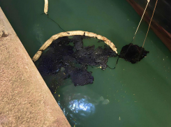 180 кг мазута вылилось в море Новороссийска