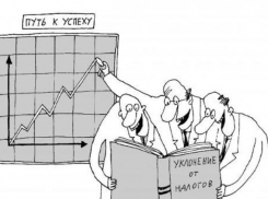 Директор «Национальных рыбных ресурсов» обвиняется в махинациях с налогами в Новороссийске 