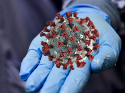 9 новороссийцев слегли с COVID-19 за сутки 