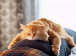 В 2020 году новороссийцев ожидает 61 выходной