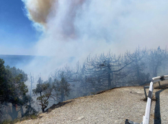 Роспотребнадзор не нашел загрязнений воздуха после пожара под Новороссийском 