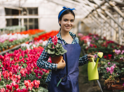 Садовника, маркетолога и инженера ищут в Новороссийске работодатели