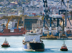 В Новороссийске построят первый в России глубоководный терминал за 120 млрд рублей