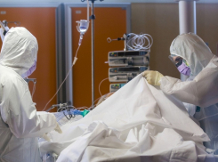 За сутки на Кубани от коронавируса умерли еще 6 человек 