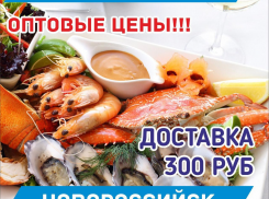 @zakuski_k_pivu_krd: креветки и морепродукты по оптовым ценам