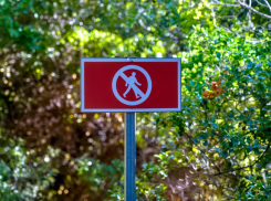 Штормовое предупреждение о жаре и пожароопасности — какая погода ожидается в Новороссийске