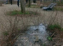 «Фекальная» терапия в парке Фрунзе: новороссийцы дышат вонью 