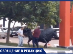 «Зачем такое торчит», или кого на набережной Новороссийска лишили достоинства