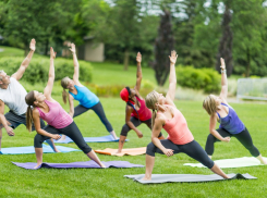 Афиша в Новороссийске с 15 по 19 апреля: «Нетворкинг», «Это всё она», «Страна Мурляндия»