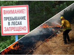 Важно: проход в леса по-прежнему закрыт для новороссийцев 
