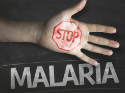 Малярия не пройдет в Новороссийск! Зараженные иностранцы в город не пропущены
