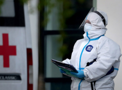 Статистика по коронавирусу в Новороссийске и крае замерла на одних цифрах