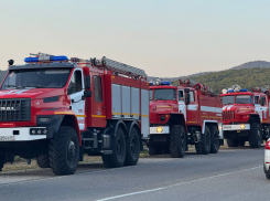 Юг России горит: в Геленджике площадь лесного пожара выросла до 41,5 гектара