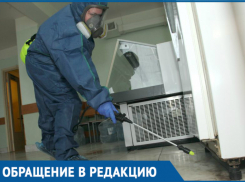 Блохи больше не будут грызть новороссийцев