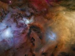 Гороскоп от “Блокнота” на 12 июня: знаков ждет приятный выходной