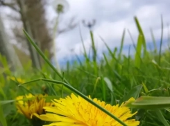 Водолеям предстоит действовать осмотрительно, а Девам улыбнется удача в переговорах