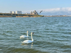 Погода в Новороссийске: рабочая неделя начнется с солнышка 