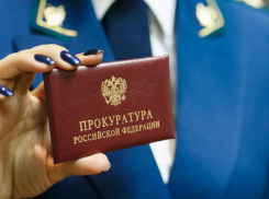 Прокуратура приостановила строительство новой школы в Новороссийске