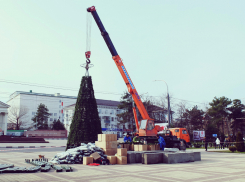 В Новороссийске начали устанавливать главную новогоднюю ёлку
