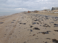 Пляжи Черного моря под угрозой: мазута может стать еще больше 
