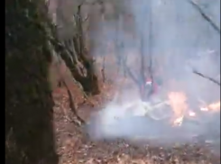 Появились первые кадры с места крушения вертолета под Новороссийском