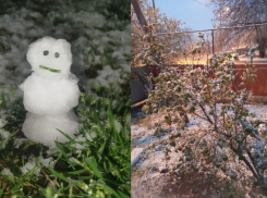 Снег идет на юге России: засыпало Геленджик и Краснодар, чем весна удивляет Новороссийск