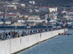 «Рыба умирает и гниет»: новороссийцы призывают бороться с драчниками у Западного мола 