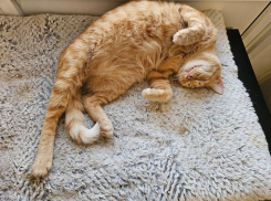 Гороскоп на 26 октября: кто-то из знаков точно проваляется на диване целый день