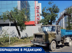Возле строящегося ТЦ в Новороссийске кронировали деревья