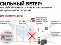 Сидите дома! Из-за норд-оста глава Новороссийска посоветовал «не покидать без необходимости помещения»