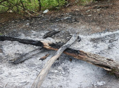 В Новороссийске молодой человек «купил» себе костёр за 50 тысяч рублей