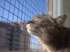 В субботу в Новороссийске будет тепло, а дома ещё теплее 