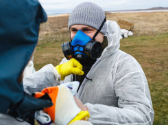 Человеческие жертвы от мазута на Черноморском побережье: отравлено свыше сотни человек 