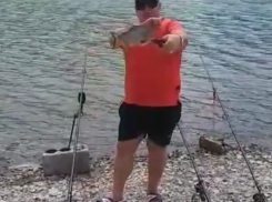 Челюсти: новороссиец уверен, что поймал в озере Абрау пиранью