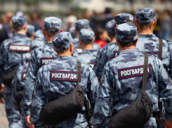 На счету каждый ствол: новороссийцев будет отслеживать Росгвардия 