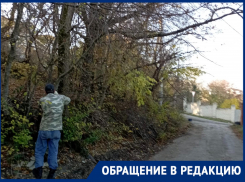 Местные жители не нарадуются: депутат навел порядок на улице Широченко 