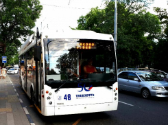 Что ждет новороссийский общественный транспорт