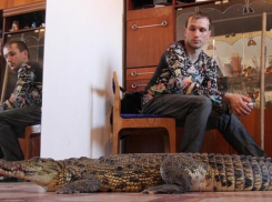 Новороссийцы не смогут завести дома льва, тигра и даже паука