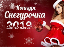 Состав финалисток конкурса «Мисс Снегурочка-2019» сформирован 